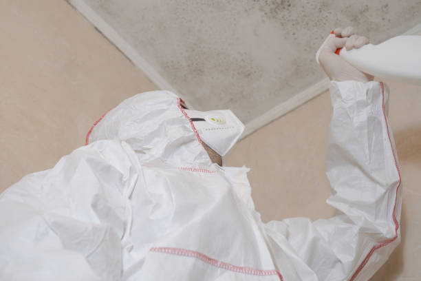 Best Mold Removal Specialists  in Dyersburg, TN